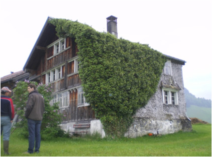 Strickbau Appenzell Switzerland